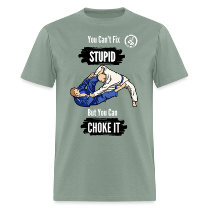 Unisex Classic T-Shirt | Jiu Jitsu | You Can't Fix Stupid - sage